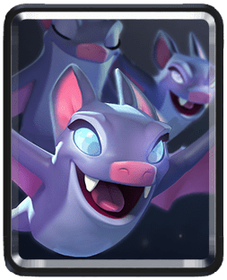 Bats